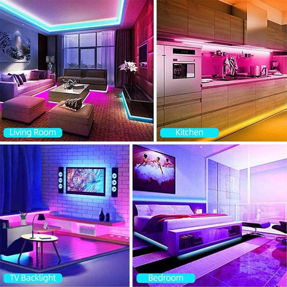 Crystal Vision IR LED Controller with Built - In Timer(2H, 4H, 6H, 8H) with DC Connector - variant_title - LED Accessory